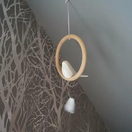 Apartment Kuschelnest